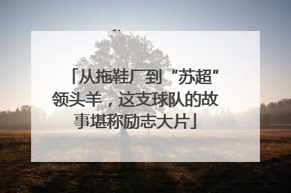 从拖鞋厂到“苏超”领头羊，这支球队的故事堪称励志大片