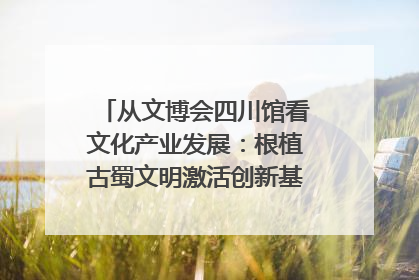 从文博会四川馆看文化产业发展：根植古蜀文明激活创新基因｜文博向“新”
