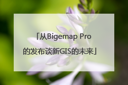 从Bigemap Pro的发布谈新GIS的未来