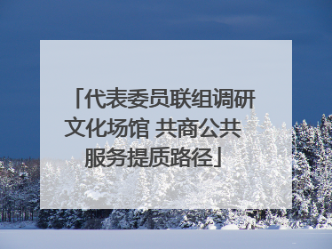 代表委员联组调研文化场馆 共商公共服务提质路径