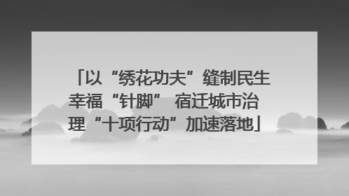 以“绣花功夫”缝制民生幸福“针脚” 宿迁城市治理“十项行动”加速落地