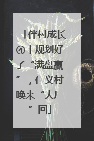 伴村成长④丨规划好了“满盘赢”，仁义村唤来“大厂”回