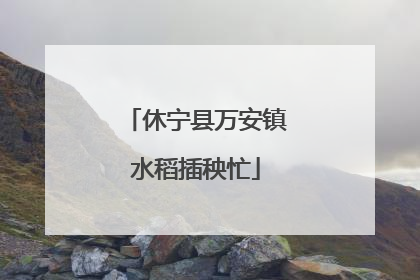 休宁县万安镇水稻插秧忙