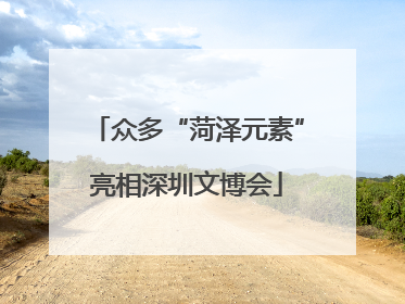 众多“菏泽元素”亮相深圳文博会