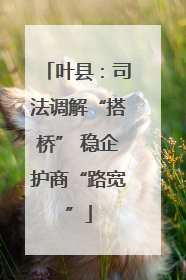 叶县：司法调解“搭桥” 稳企护商“路宽”