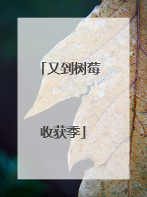 又到树莓收获季