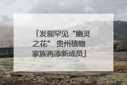 发现罕见“幽灵之花” 贵州植物家族再添新成员