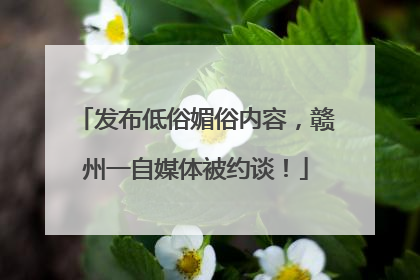 发布低俗媚俗内容，赣州一自媒体被约谈！