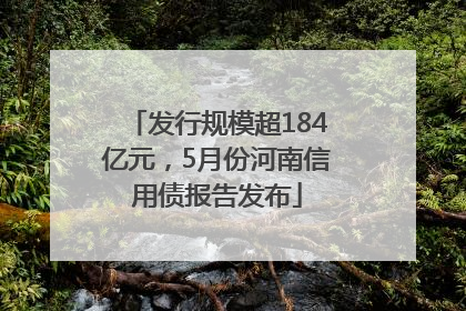 发行规模超184亿元，5月份河南信用债报告发布