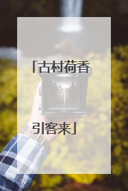 古村荷香引客来