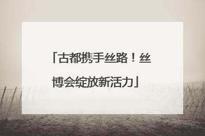 古都携手丝路！丝博会绽放新活力