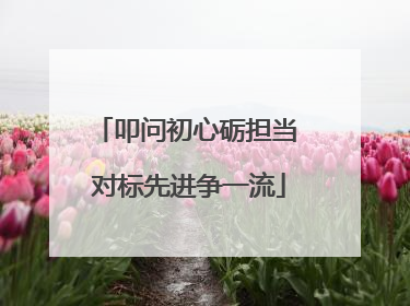叩问初心砺担当 对标先进争一流