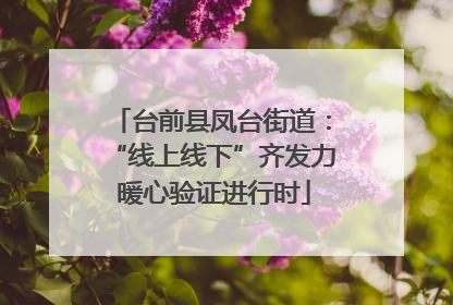 台前县凤台街道：“线上线下”齐发力 暖心验证进行时