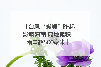 台风“蝴蝶”昨起影响海南 局地累积雨量超500毫米