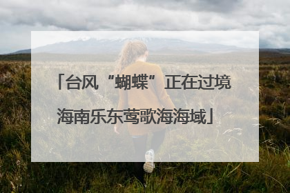 台风“蝴蝶”正在过境海南乐东莺歌海海域