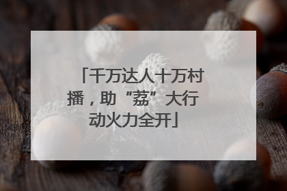 千万达人十万村播，助“荔”大行动火力全开