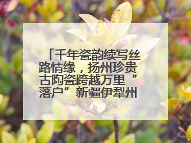 千年瓷韵续写丝路情缘，扬州珍贵古陶瓷跨越万里“落户”新疆伊犁州博物馆