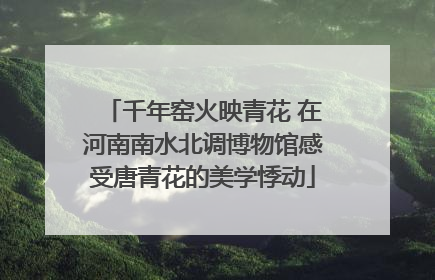 千年窑火映青花 在河南南水北调博物馆感受唐青花的美学悸动