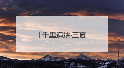 千里追耕·三夏时节丨战三夏保丰收 探索“中原粮仓”里的科技感