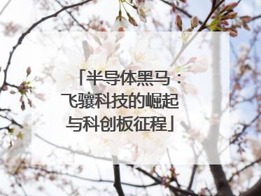 半导体黑马：飞骧科技的崛起与科创板征程