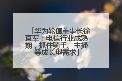 华为轮值董事长徐直军：电信行业成熟期，抓住骑手、主播等成长型需求