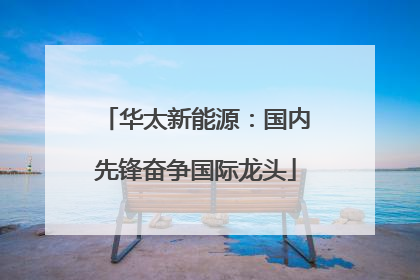 华太新能源：国内先锋奋争国际龙头
