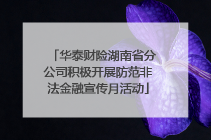 华泰财险湖南省分公司积极开展防范非法金融宣传月活动