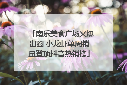 南乐美食广场火爆出圈 小龙虾单周销量登顶抖音热销榜