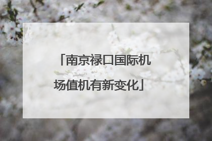 南京禄口国际机场值机有新变化