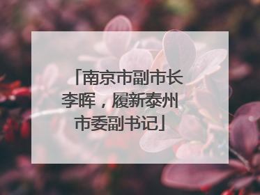 南京市副市长李晖，履新泰州市委副书记