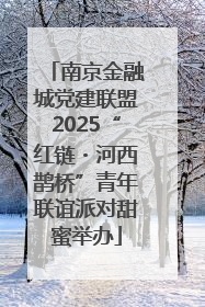 南京金融城党建联盟2025“红链・河西鹊桥”青年联谊派对甜蜜举办