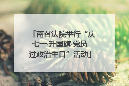 南召法院举行“庆七一·升国旗·党员过政治生日”活动