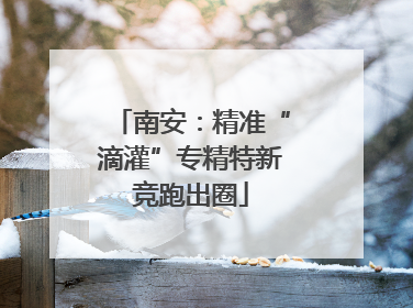 南安：精准“滴灌”专精特新竞跑出圈