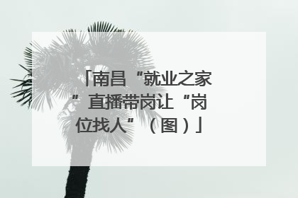 南昌“就业之家”直播带岗让“岗位找人”（图）
