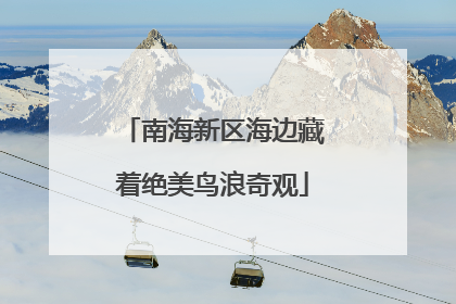 南海新区海边藏着绝美鸟浪奇观