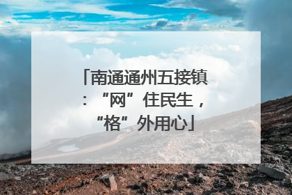 南通通州五接镇：“网”住民生，“格”外用心