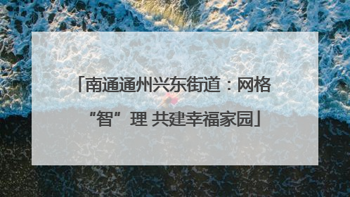 南通通州兴东街道：网格“智”理 共建幸福家园