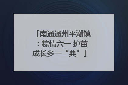 南通通州平潮镇：粽情六一 护苗成长多一“典”