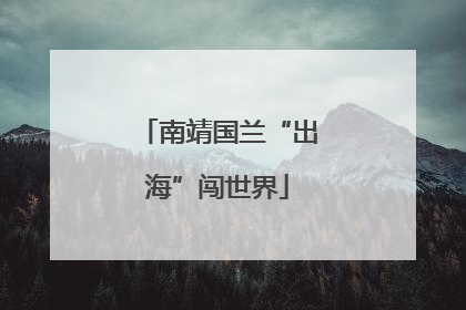 南靖国兰“出海”闯世界