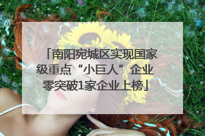 南阳宛城区实现国家级重点“小巨人”企业零突破1家企业上榜