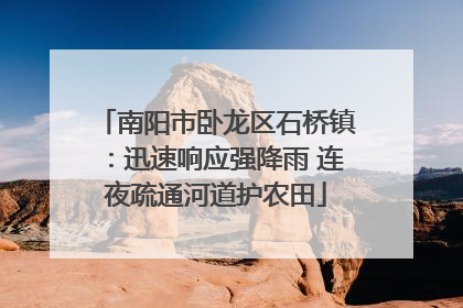 南阳市卧龙区石桥镇：迅速响应强降雨 连夜疏通河道护农田