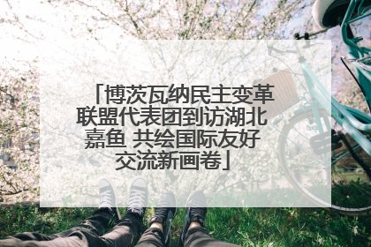 博茨瓦纳民主变革联盟代表团到访湖北嘉鱼 共绘国际友好交流新画卷