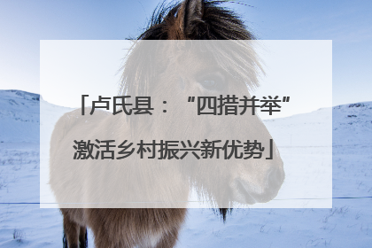 卢氏县：“四措并举”激活乡村振兴新优势