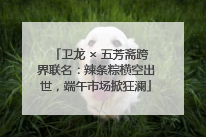 卫龙 × 五芳斋跨界联名：辣条粽横空出世，端午市场掀狂澜