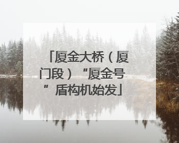 厦金大桥（厦门段）“厦金号”盾构机始发