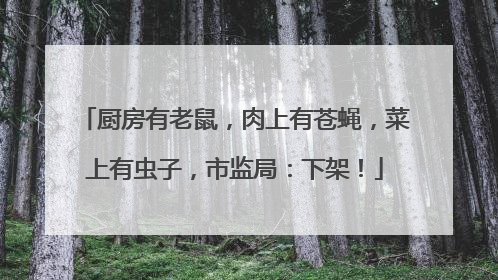 厨房有老鼠，肉上有苍蝇，菜上有虫子，市监局：下架！