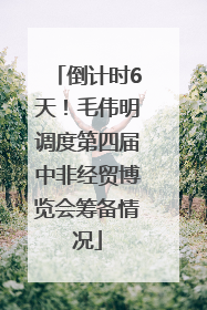 倒计时6天！毛伟明调度第四届中非经贸博览会筹备情况