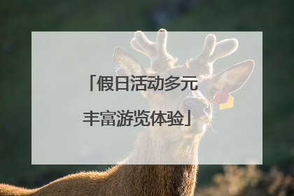 假日活动多元 丰富游览体验