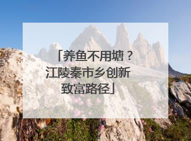 养鱼不用塘？江陵秦市乡创新致富路径