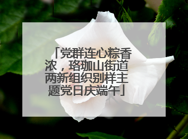 党群连心粽香浓，珞珈山街道两新组织别样主题党日庆端午